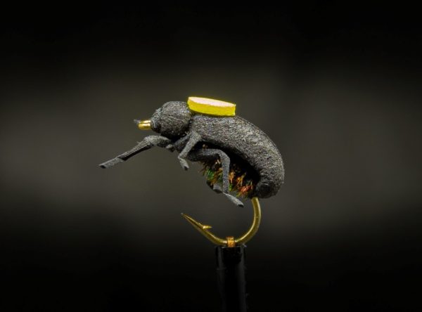 Vania Fly Peacock Beetle (3 pcs)