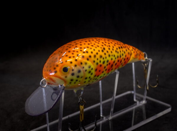 2NK12EXBR_ORYLT-1WEB