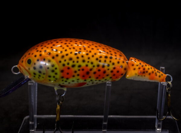 2NK12EXBR_ORYLT-2WEB