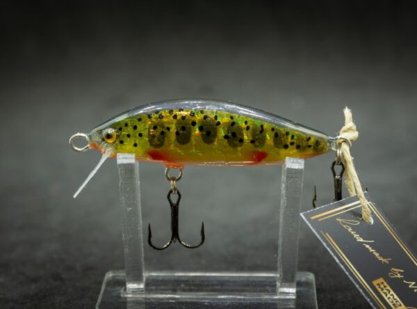 NKO5MS_GLTRF (2)WEB2