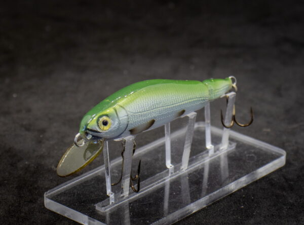 2NK07GFL_SLLGRF_2WEB