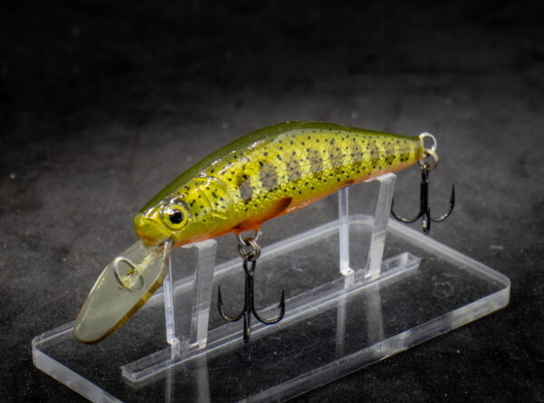 NK06BNNSS_GLGRF_2WEB