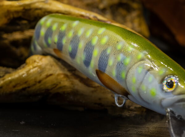 2NK18TG_GRSLYD-ART_web