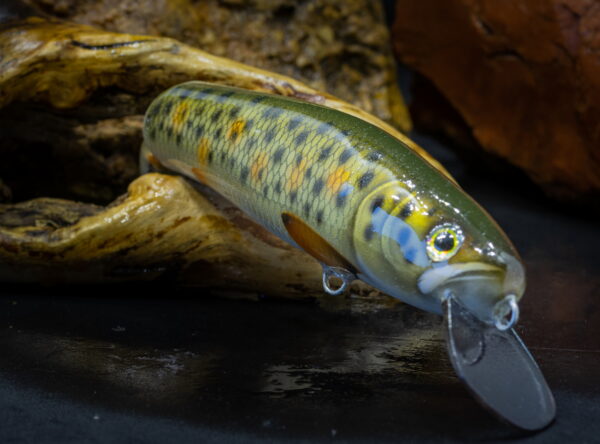 2NK18TG_LKS-ART_2_web