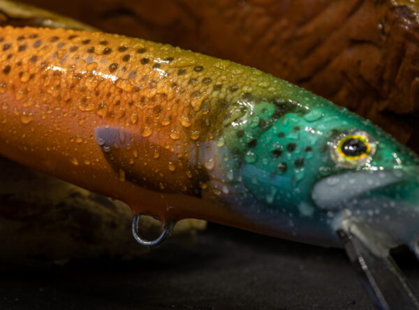 2NK18TG_ORSL-ART_web