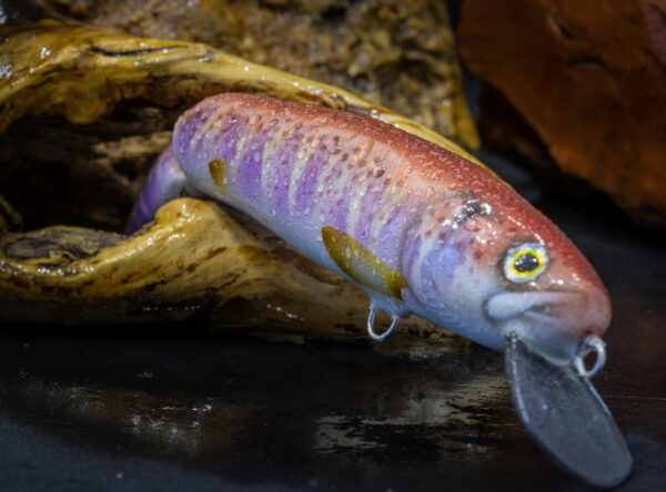 2NK18TG_PKSL-ART_3_web