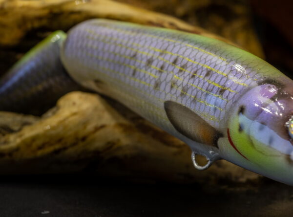 2NK18TG_YLSR-ART_2_web