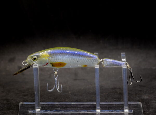 2NK09CL_BLVSF_web